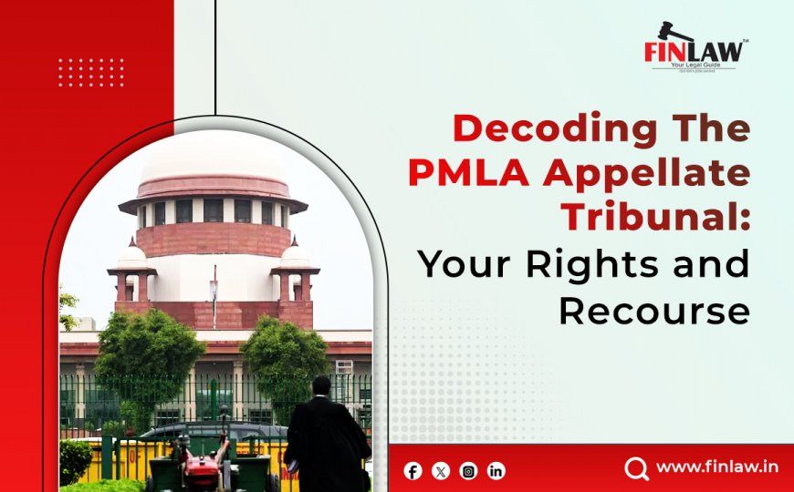 Decoding the PMLA Appellate Tribunal: Your Rights and Recourse