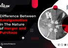 Difference Between Amalgamation in the Nature of Merger and Purchase