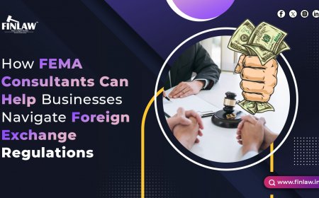 How FEMA Consultants Can Help Businesses Navigate Foreign Exchange Regulations in India