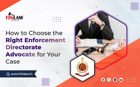 How to Choose the Right Enforcement Directorate Advocate for Your Case