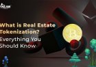 What is Real Estate Tokenization? Everything You Should Know
